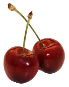 Sexsucht: Die unstillbare Gier nach Sex